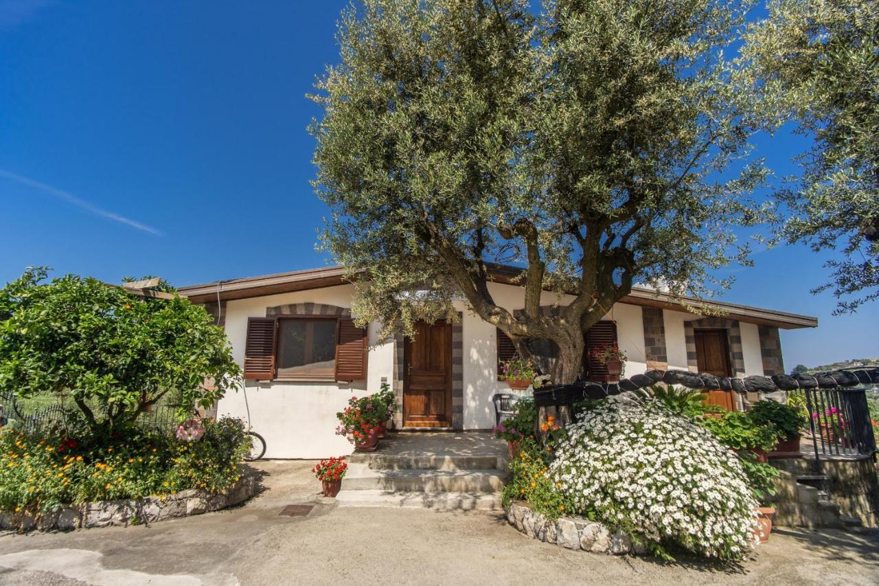 Villa Mattia In The Land Of Sirens SantʼAgata sui Due Golfi Exterior foto